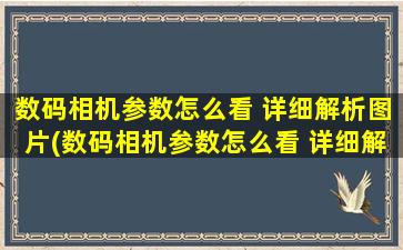 数码相机参数怎么看 详细解析图片(数码相机参数怎么看 详细解析视频)